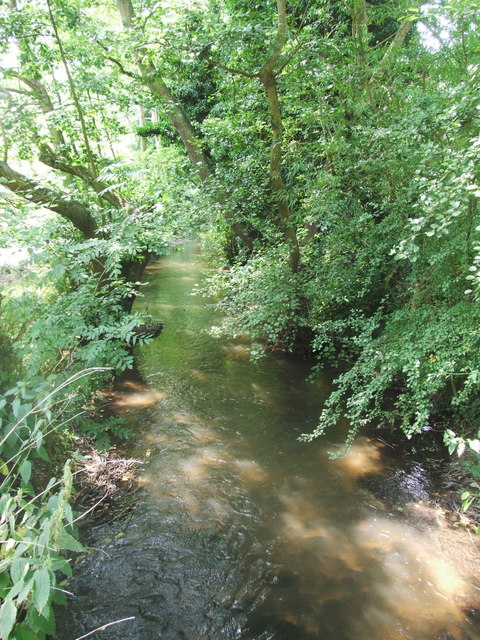   Removal of unsafe Poplar Trees  image