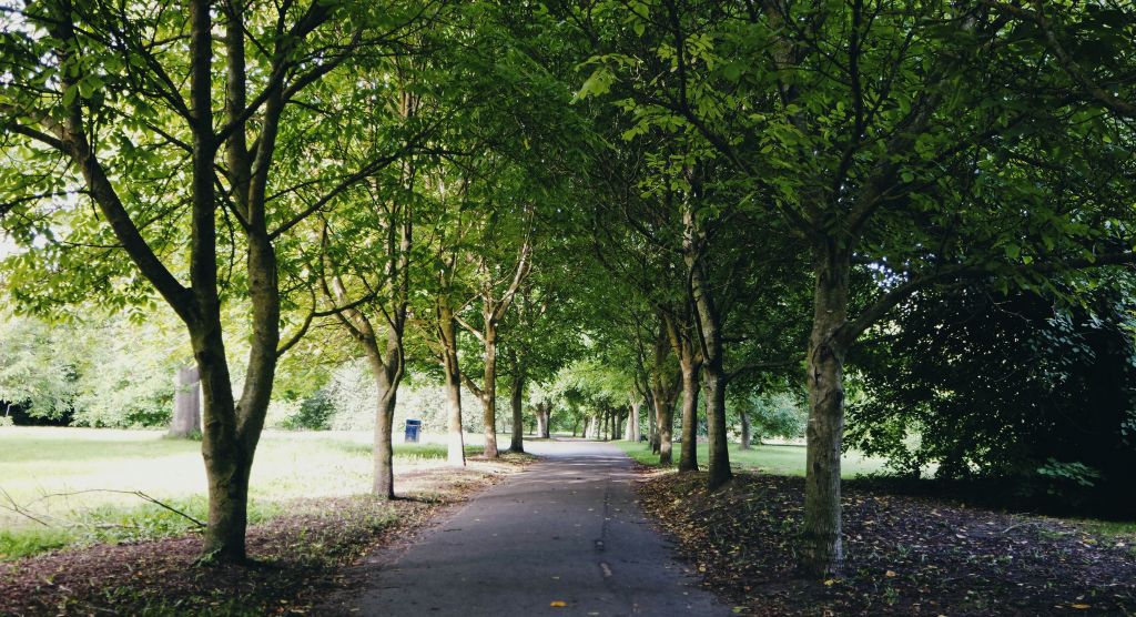 Maidstone Borough Council to limit access to parks   image