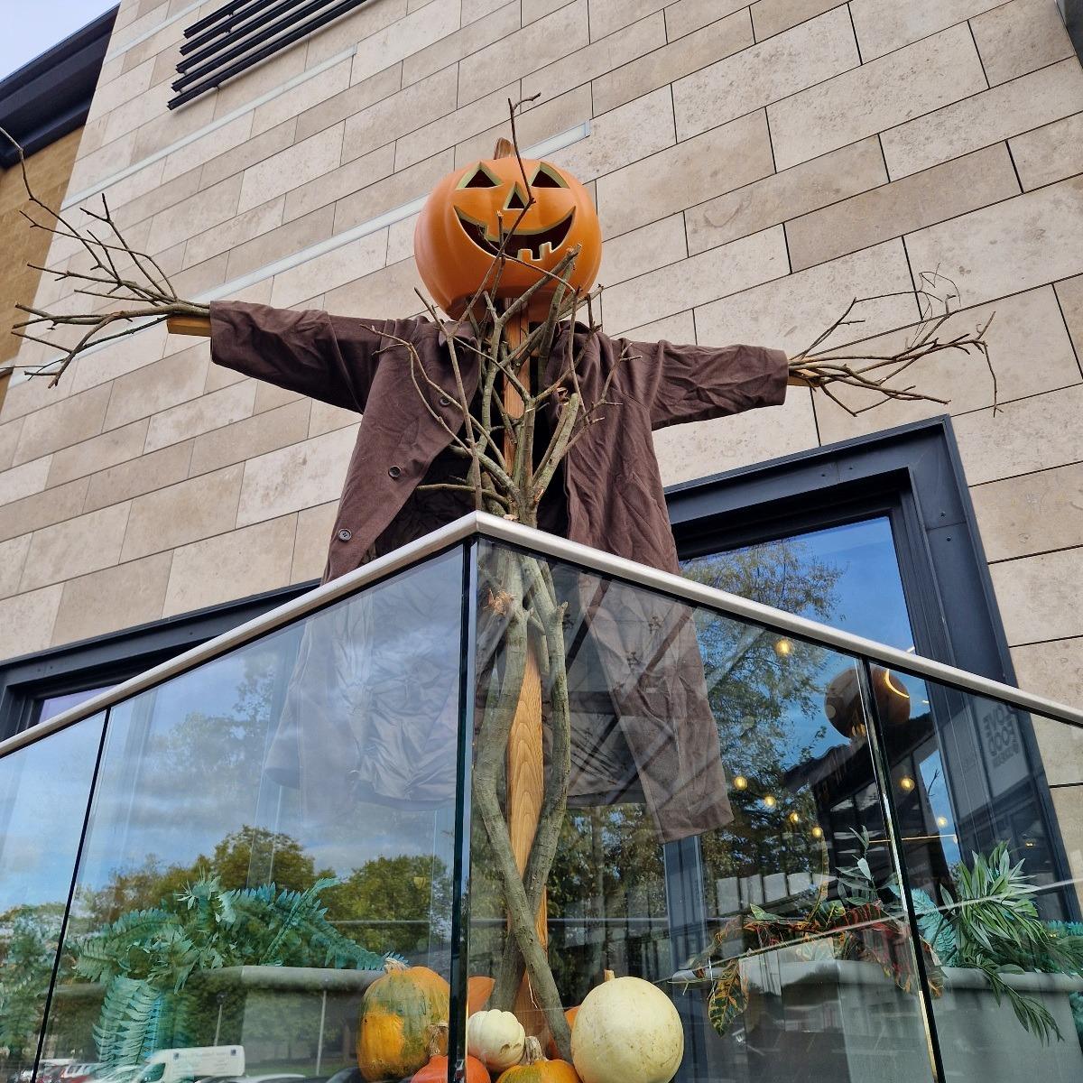 Vote for your favourite scarecrows around Maidstone town centre 