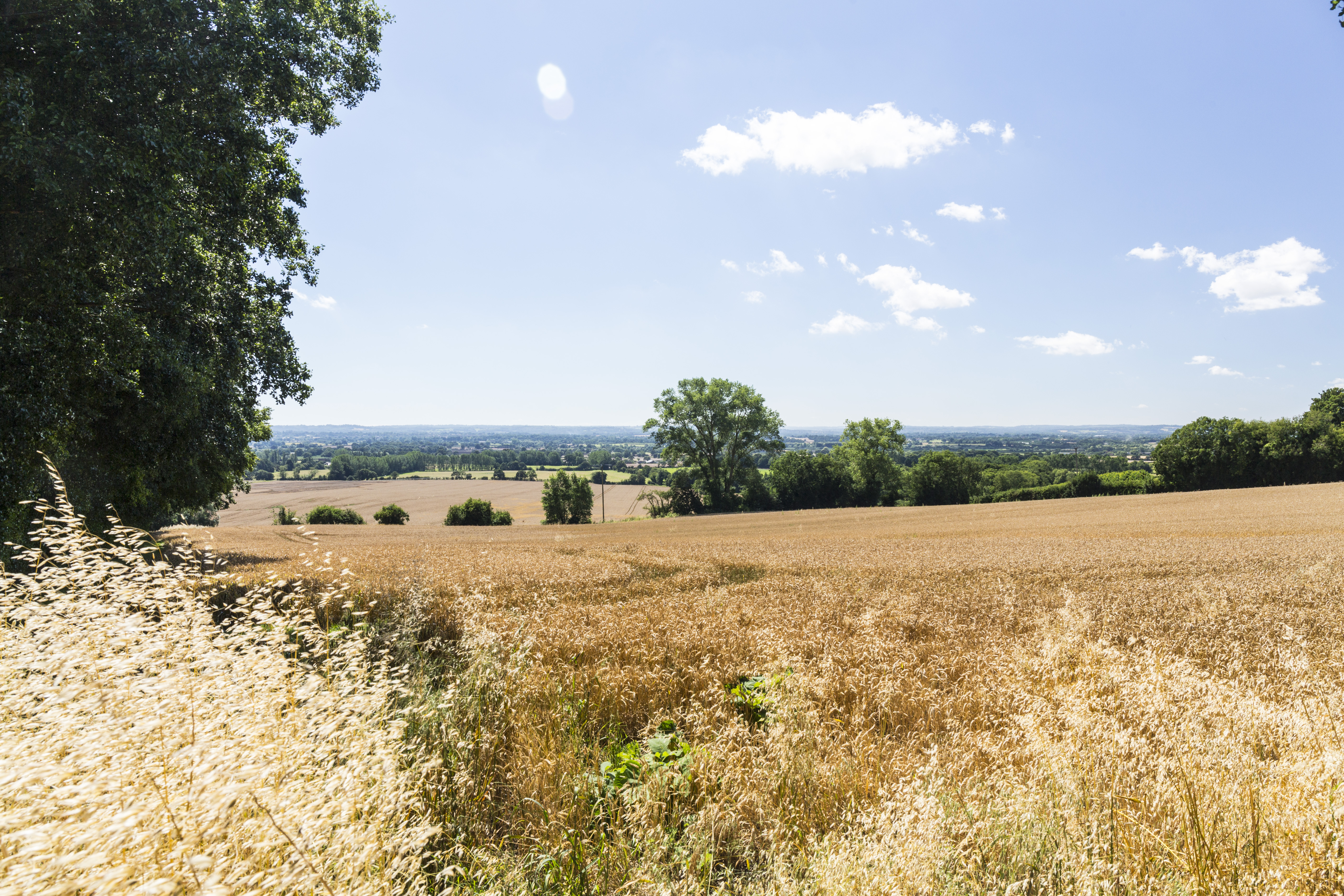 Business urged to apply for Rural Grant Scheme