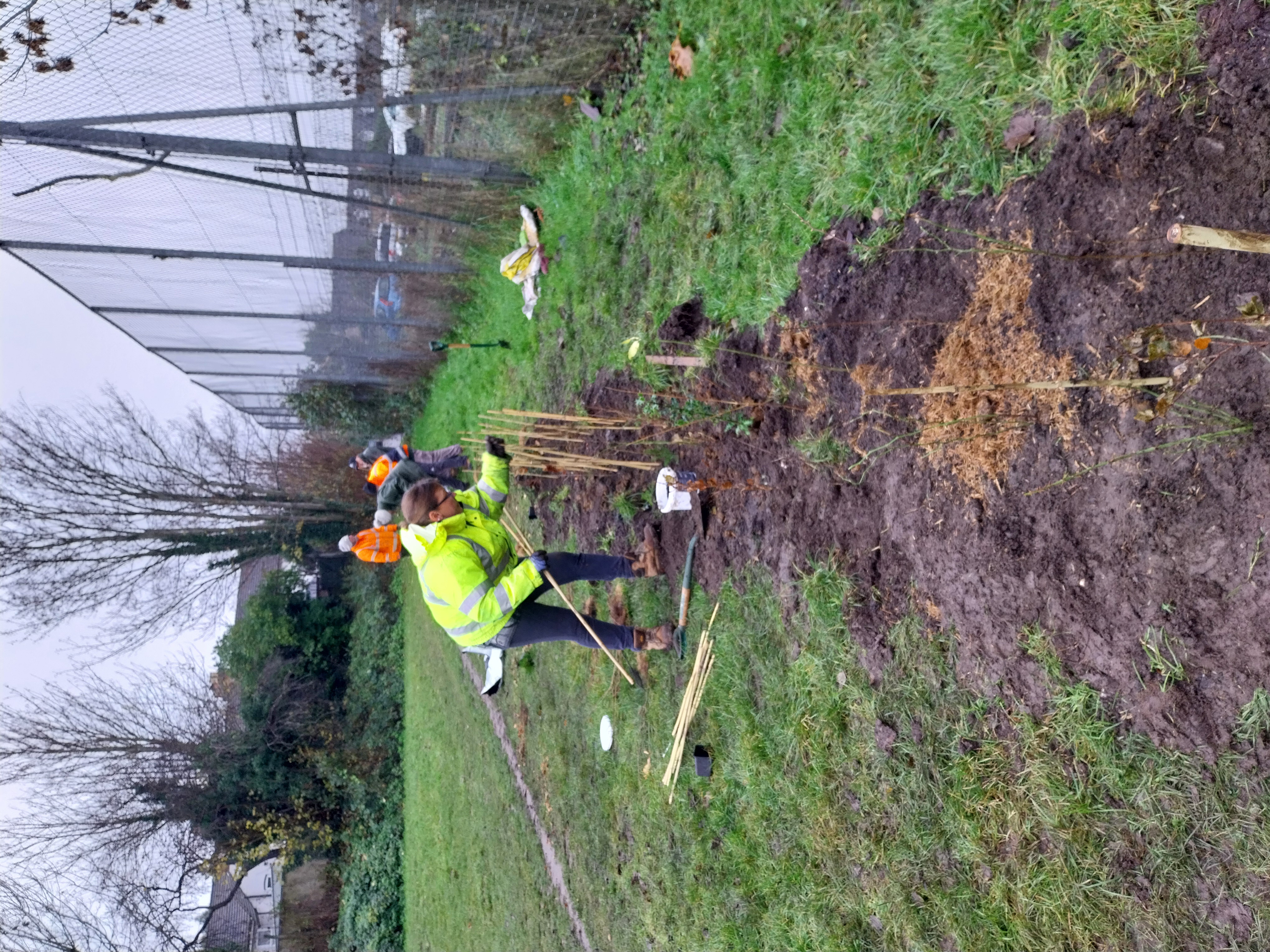 Council trials nature-based methods to improve soil health image