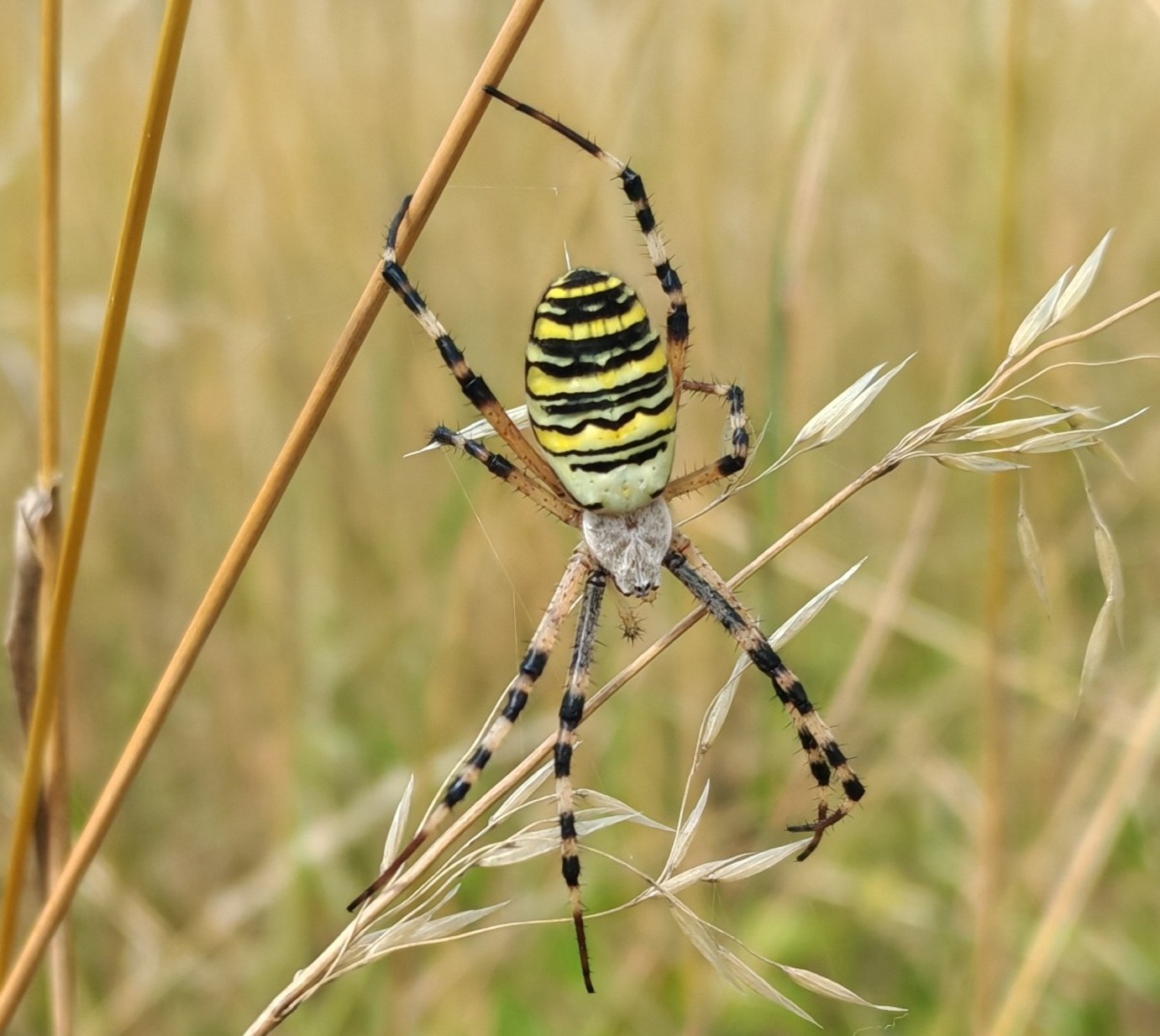 Funding scheme launched for organisations tackling the climate and nature crises  image