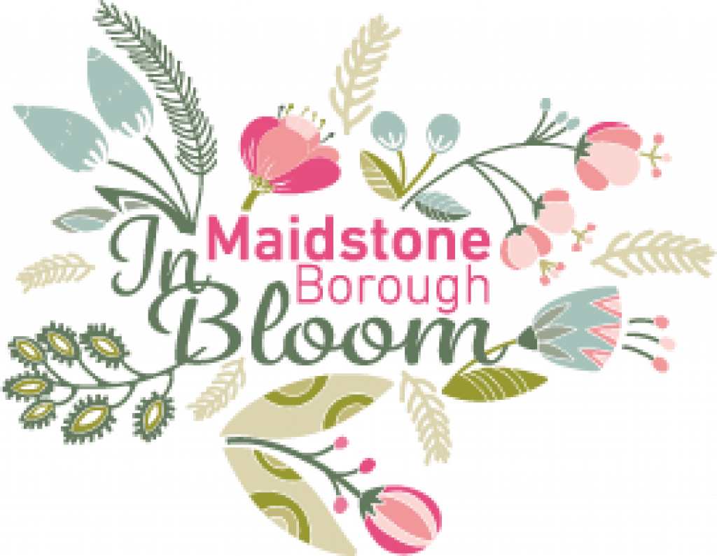 MBC calling businesses to  take part in Maidstone Borough in Bloom image