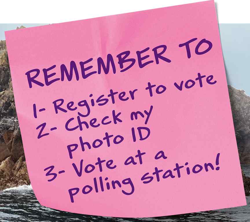 Voter ID needed to vote at elections  image
