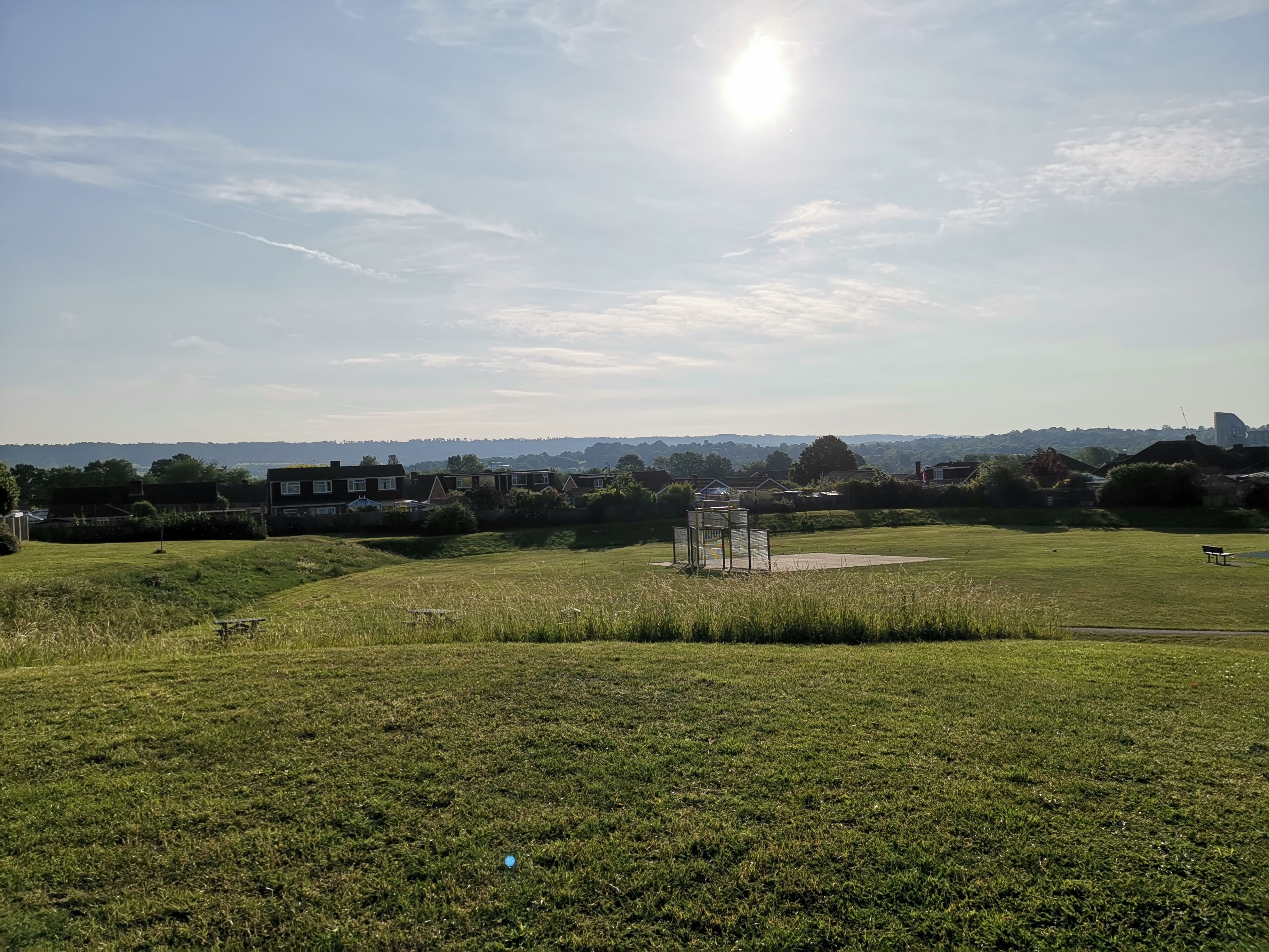 Pioneering food forest using Japanese Miyawaki method to create wildlife haven announced for Allington