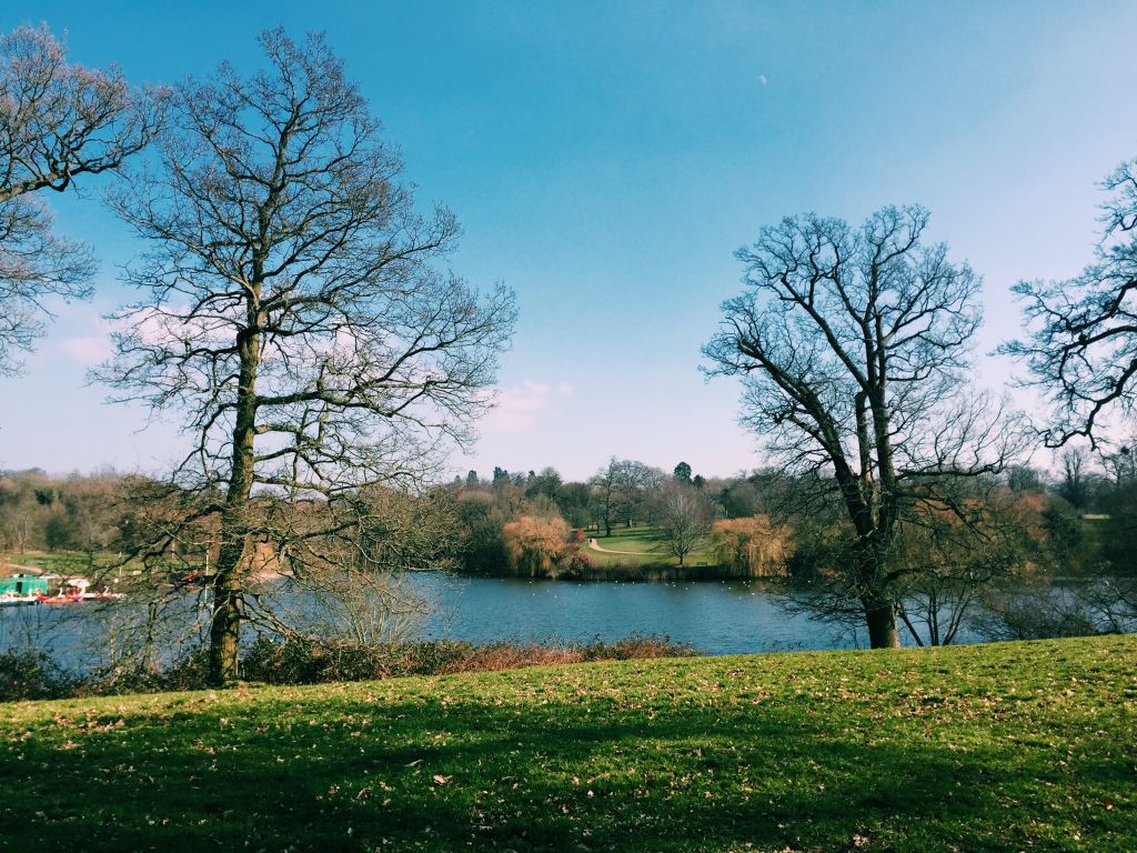 Take a walk in Mote Park for National Walking Month image