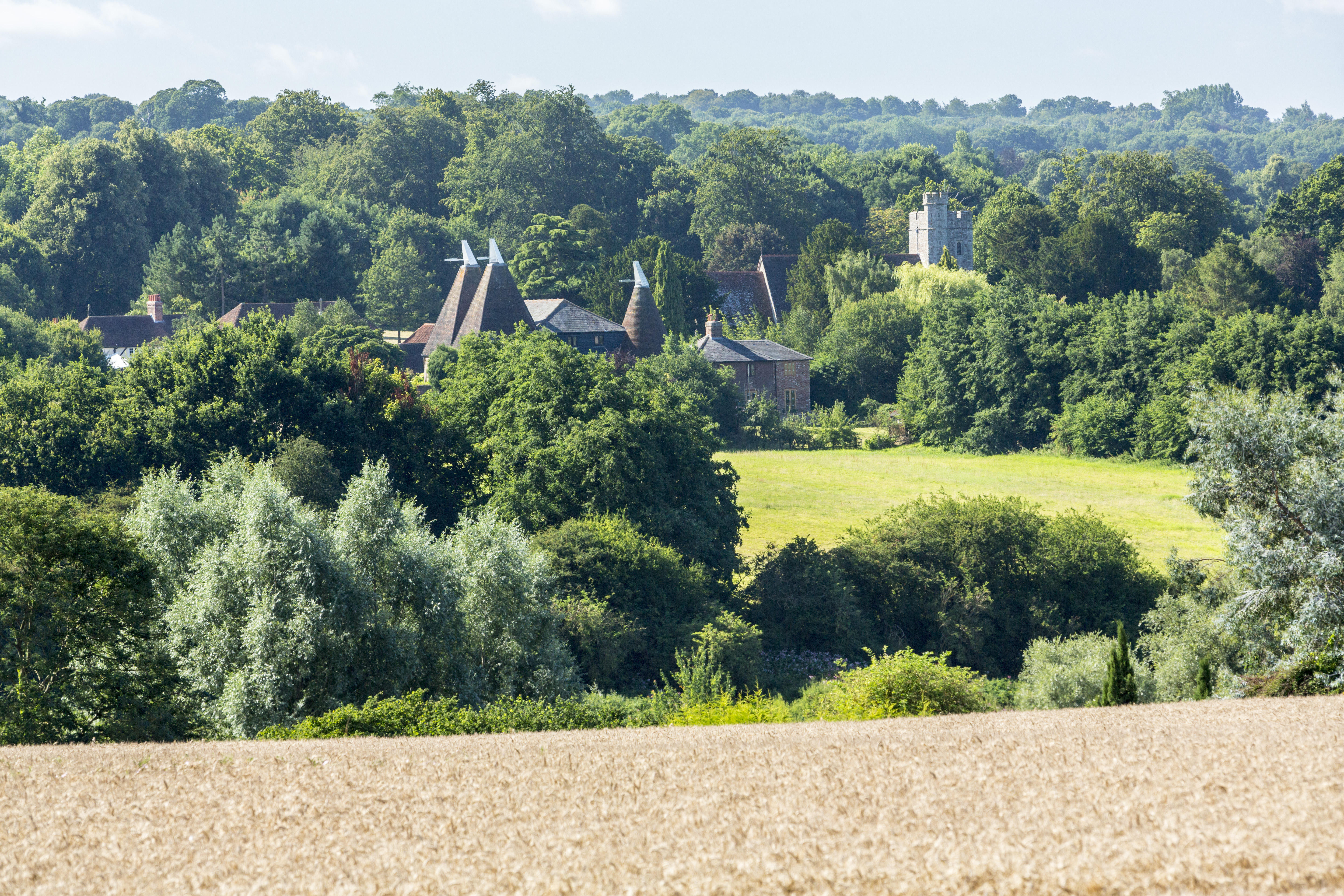 Gypsy, Traveller and Travelling Showpeople development plan consultation image