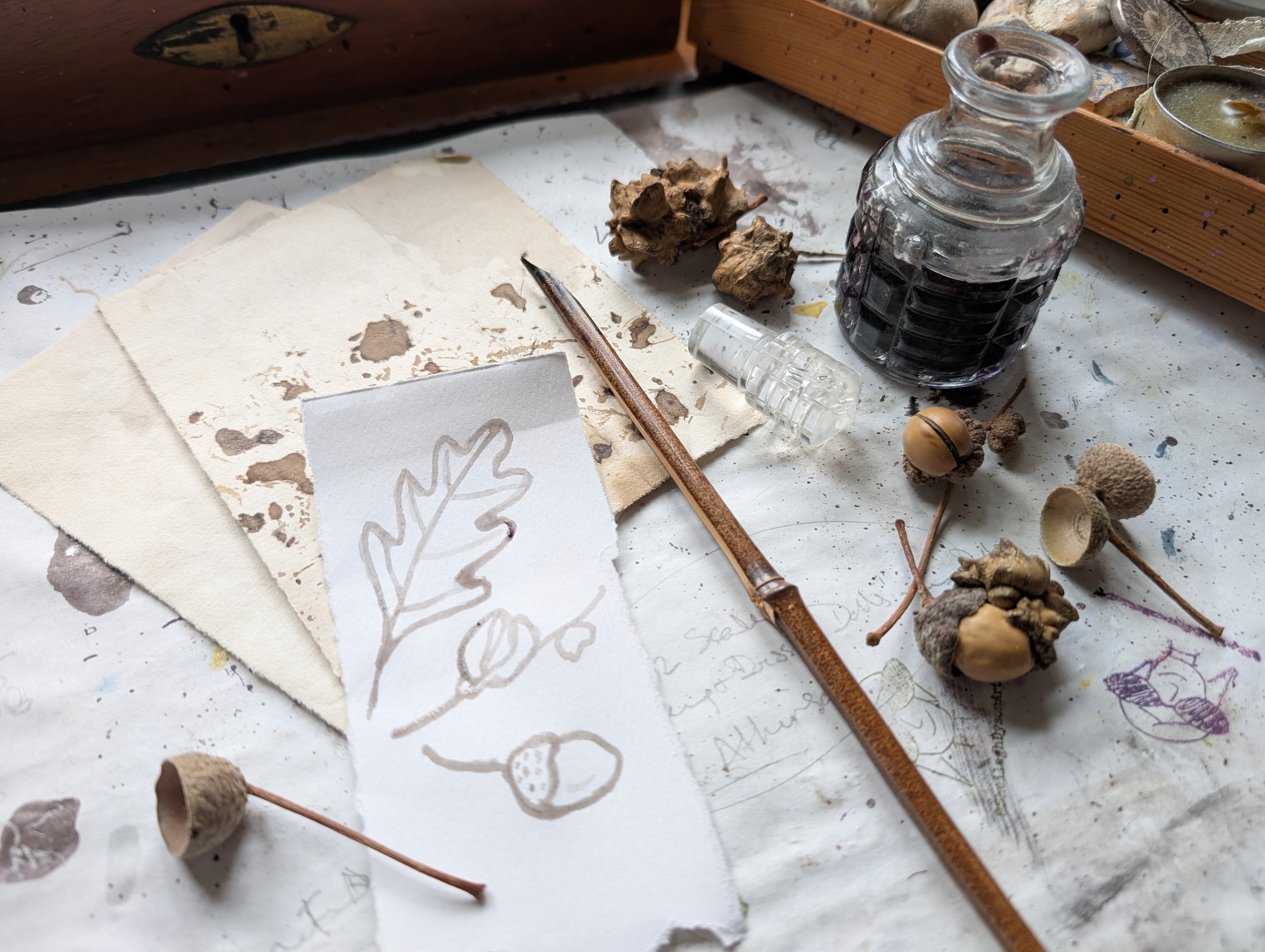 Delve beneath the surface and draw inspiration from Mote Park