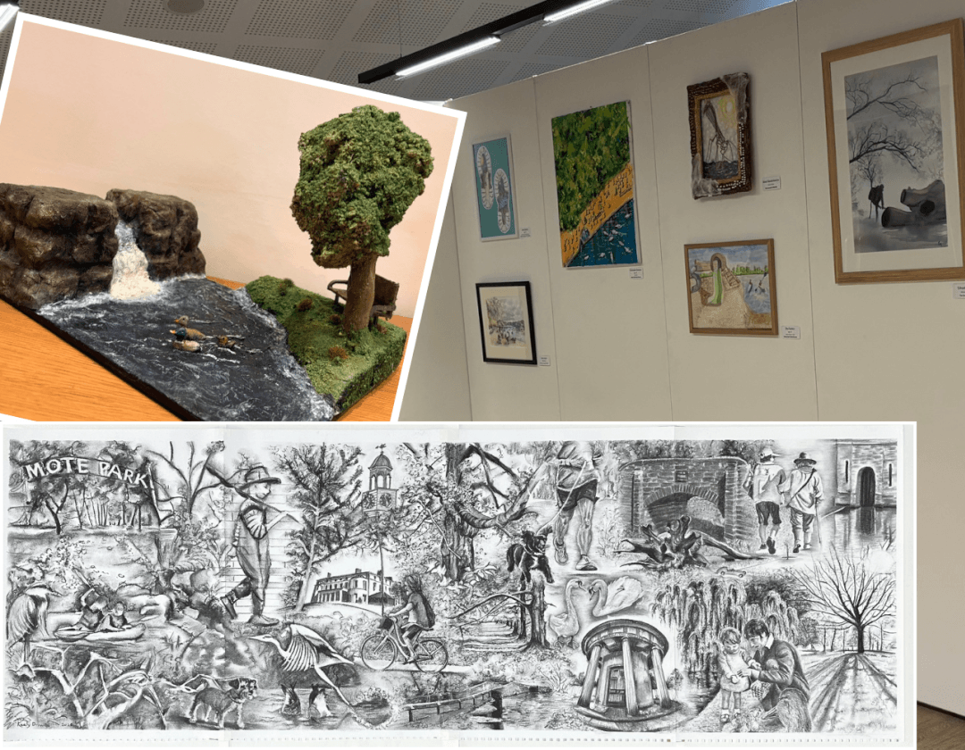 Mote Park art exhibition opens after record number of entries