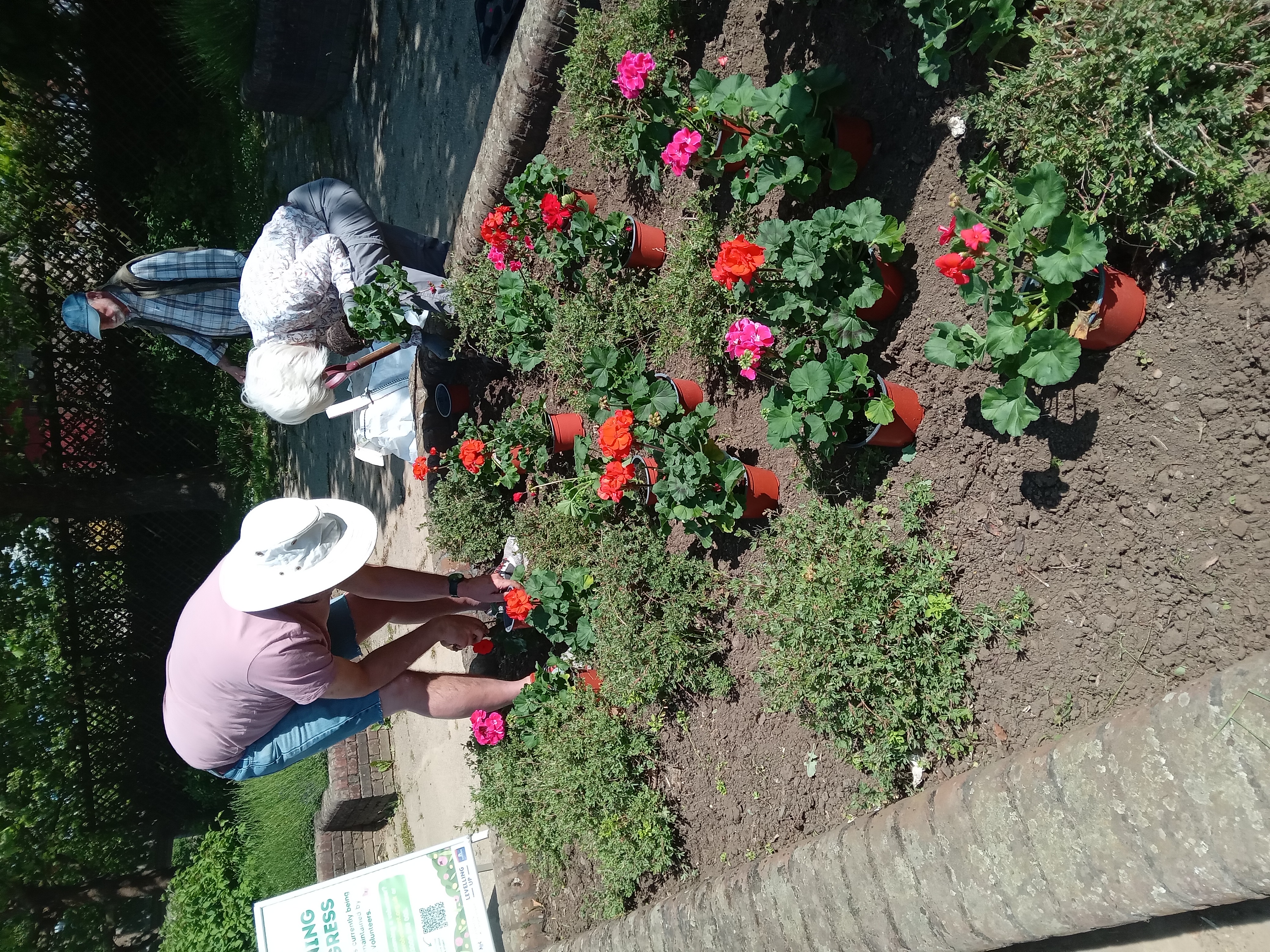 Get involved with Fairmeadow Fridays volunteer gardening project image