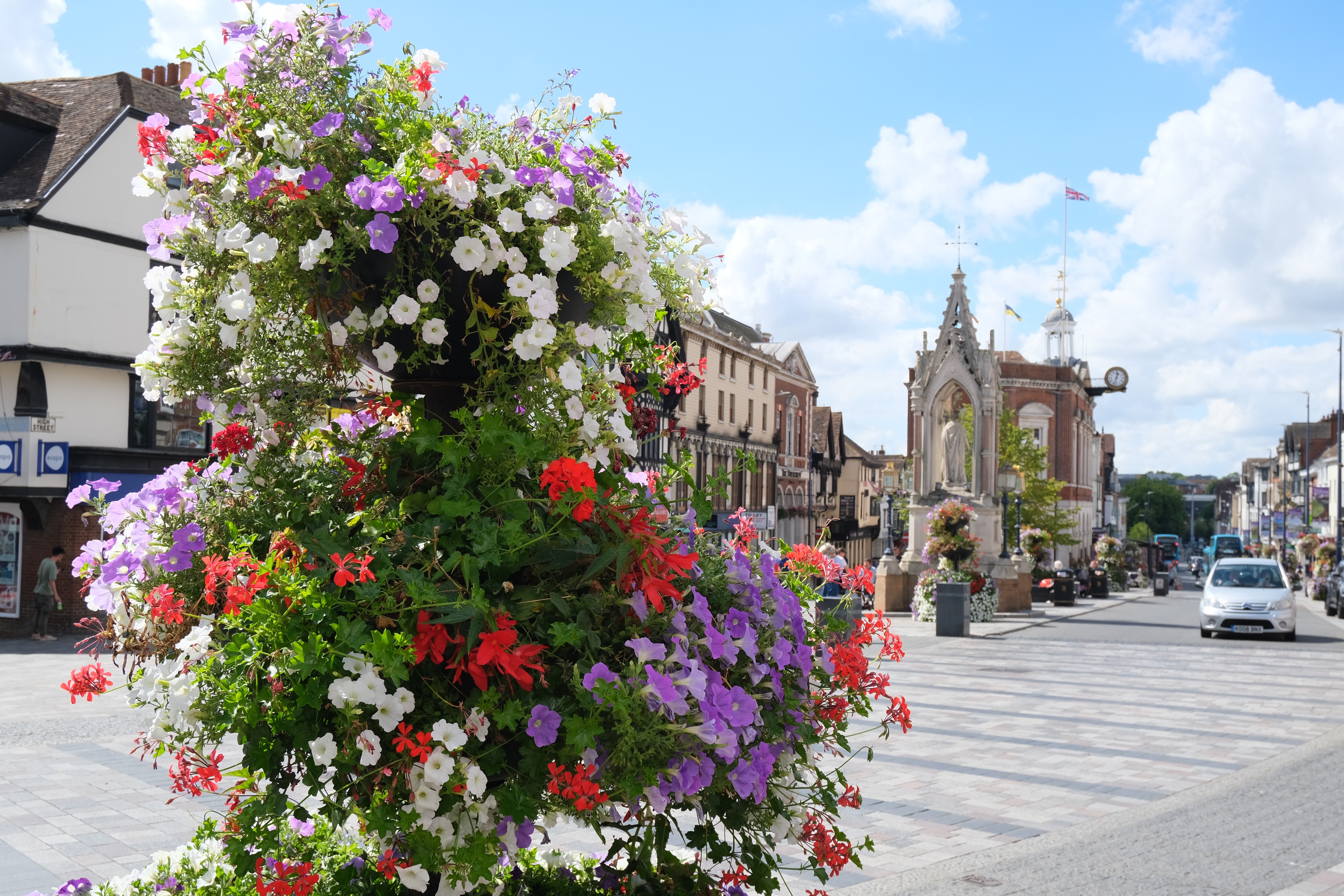 Help form Maidstone Town Council image