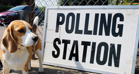 Image for Maidstone residents invited to share their views on where they vote